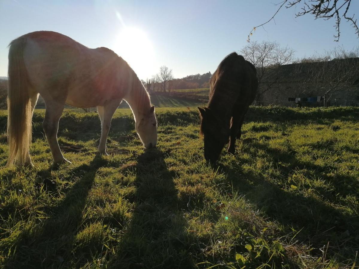 Le Temps Serein Vabre-Tizac Buitenkant foto